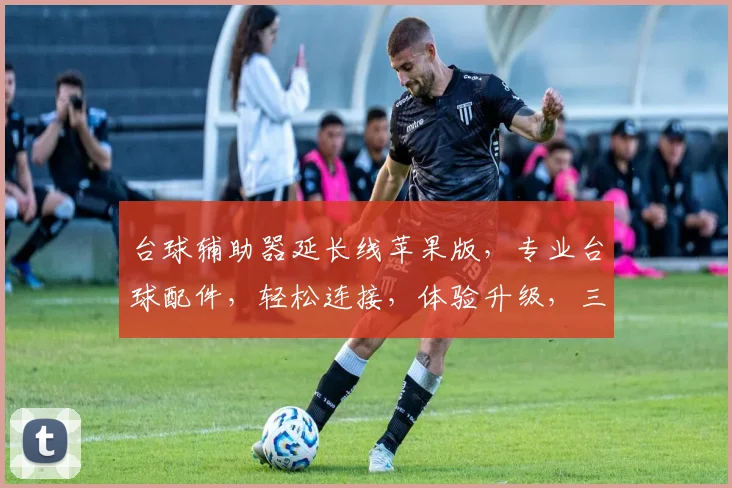 台球辅助器延长线苹果版，专业台球配件，轻松连接，体验升级，三款精选，满足需求，必备神器