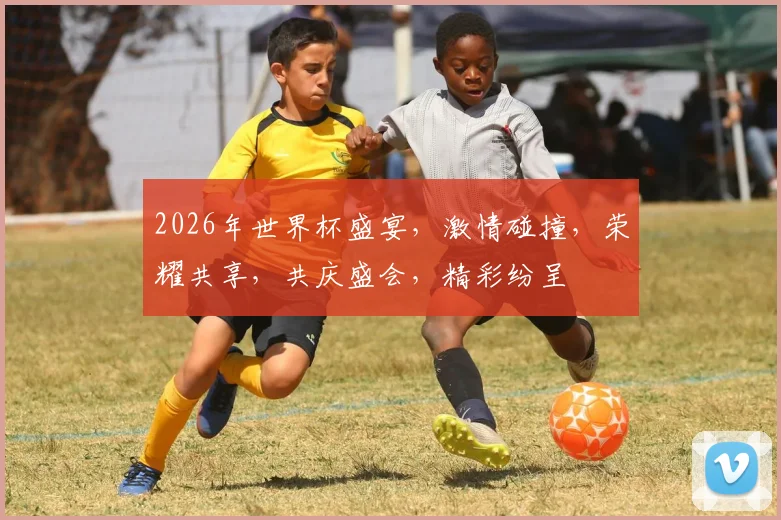 2026年世界杯盛宴，激情碰撞，荣耀共享，共庆盛会，精彩纷呈
