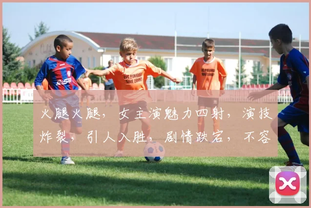 火腿火腿，女主演魅力四射，演技炸裂，引人入胜，剧情跌宕，不容错过，热议不断