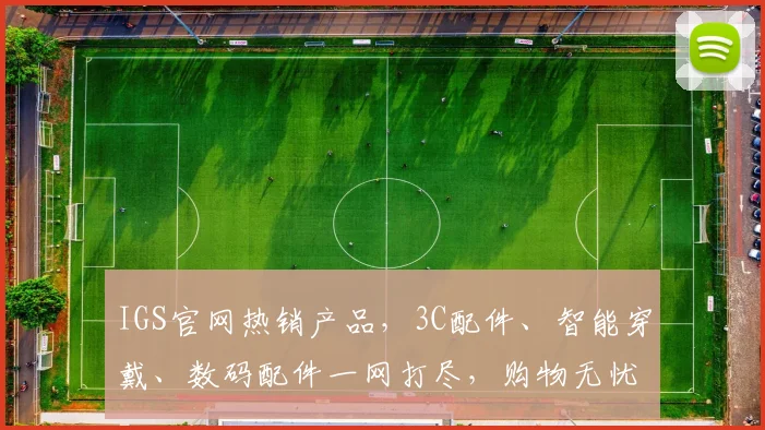 IGS官网热销产品，3C配件、智能穿戴、数码配件一网打尽，购物无忧