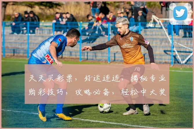 天天买彩票，好运连连，揭秘专业购彩技巧，攻略必备，轻松中大奖